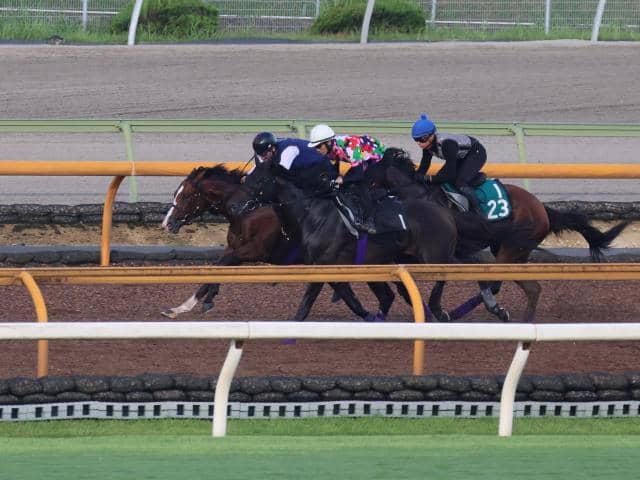 一昨年イクイノックスらが出走した新馬戦 今年は新種牡馬