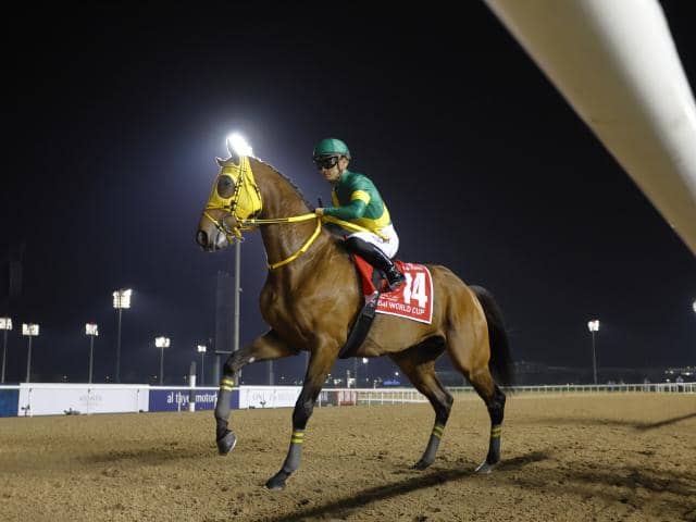 ウシュバテソーロがドバイWCを制覇 オルフェーヴル産駒はなぜ“ダート