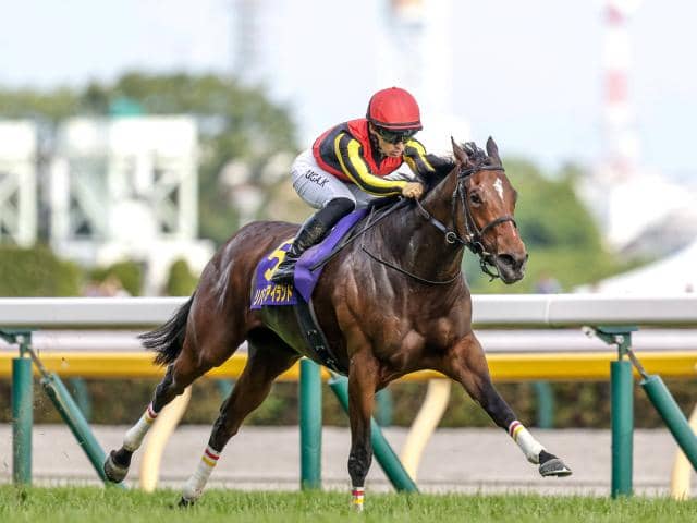 秋華賞想定馬・騎手】リバティアイランド、ハーパーなど22頭