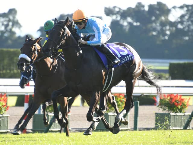 ②◆　競馬　JRA　◆　デアリングタクト　◆　アクリル　スマホスタンド　◆三冠馬 ◇ 競馬 JRA ◇ デアリングタクト ◇ アクリルスマホスタンド