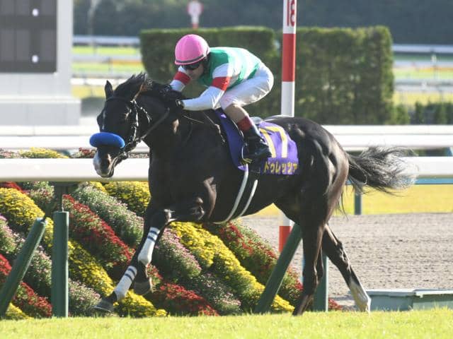 菊花賞】ドゥレッツァ圧勝！5連勝で最後の1冠奪取！ | その他