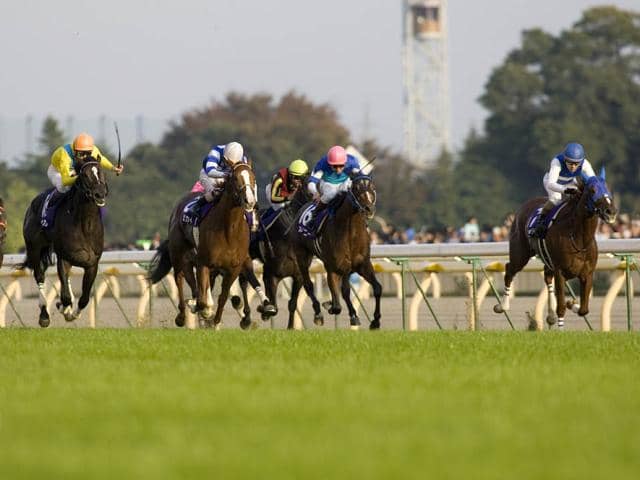 単勝馬券 ウオッカ 天皇賞(秋) Yahoo!オークション -「ウオッカ 馬券」の落札相場・落札価格