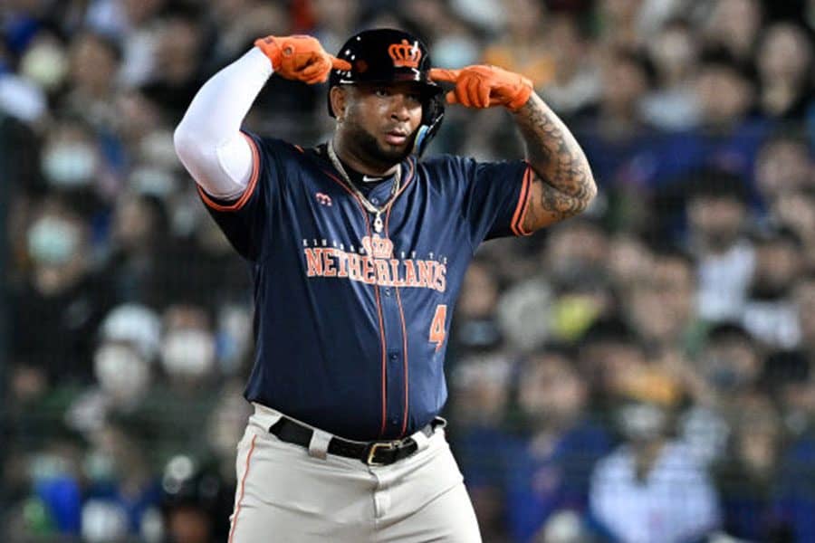 現ヤクルト ウラディミール・バレンティン選手 実使用バット 現ヤクルト ウラディミール・バレンティン選手 実使用バット