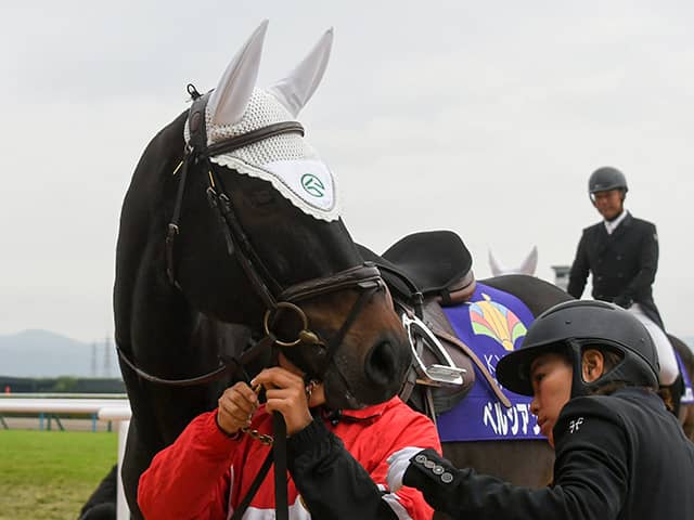 非売品】ペルシアンナイトマイルCS優勝記念キャップ 非売品