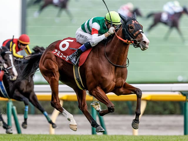 マイルCS】紅一点ナミュールが悲願のGI初制覇！ 急遽乗り替わり