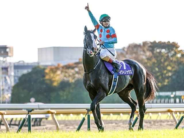 イクイノックス　C.ルメール騎手 C.ルメール騎手がアーモンドアイ以来のジャパンC3年ぶり4勝目へ