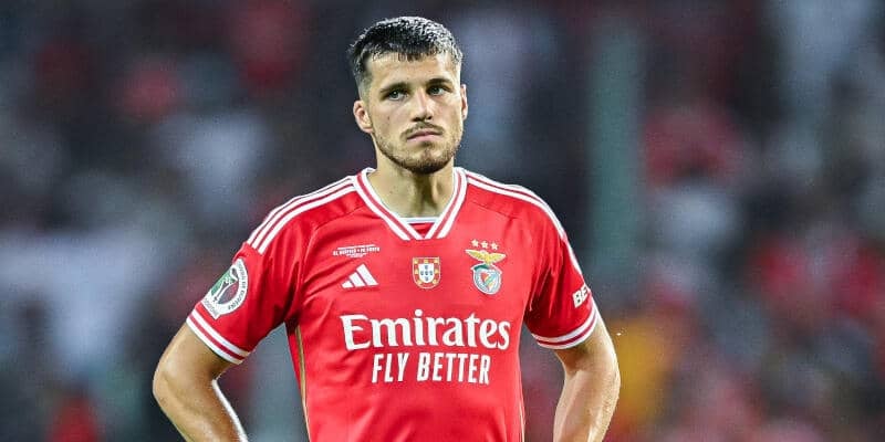 ホッフェンハイム、ベンフィカからチェコ代表DFユラセクをレンタルで獲得