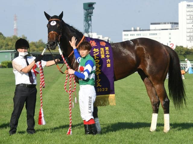 メイケイエール　引退記念ジャンボバスタオル　高松宮記念　競馬　JRA   ウマ娘 メイケイエール引退記念ジャンボバスタオル高松宮記念競馬JRA ウマ娘