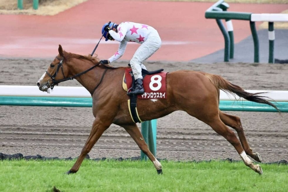 東京優駿 日本ダービー スペシャルウィーク号 勝利馬券 馬券 美