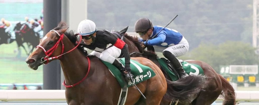 ボンボヤージの競走馬登録抹消…短距離重賞で活躍