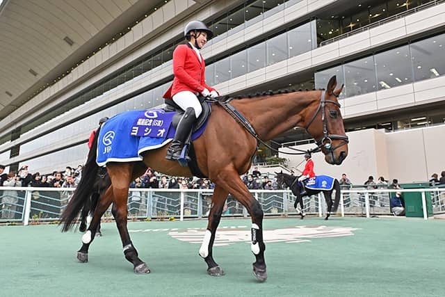 ヨシオ（福島競馬場誘導馬）デビュー戦現地馬券