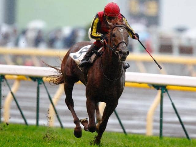 おじいちゃんが全頭一緒」の珍事！ 名種牡馬のすごさが際立った日本