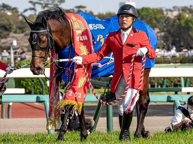 日本ダービー】17頭の香港馬名・馬名意味を紹介！「駿天潮城」「野田