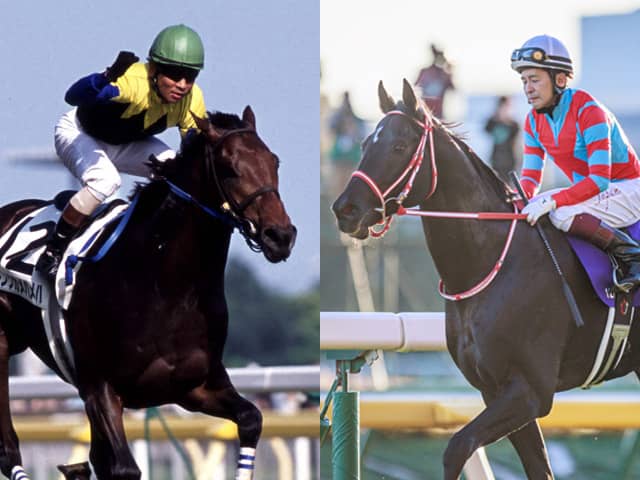 サンタの競馬　ゴールドシップ　デュラメンテ サンタの競馬 ゴールドシップ デュラメンテ ゴールドシップ産