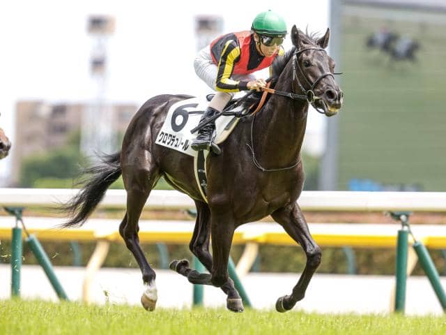 来年が“黄金世代”の可能性？ 2歳戦好調の種牡馬「キタサンブラック