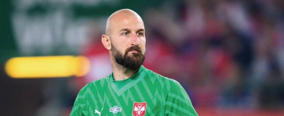 セルビア代表GKがユーロ2024参戦中にバーで同胞ファンと殴り合い寸前…ストイコビッチ監督が帰国会見で示唆し発覚