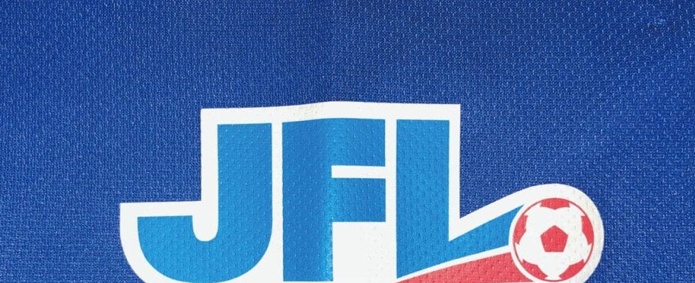 【JFL第14節】関東1部降格もちらつく新宿が4試合未勝利に…“昇格組”栃木Cが王者Honda撃破で2位浮上！