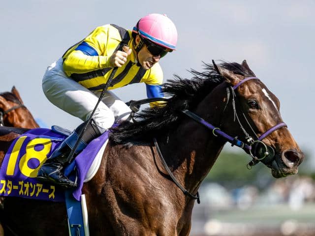 希少な一族の末裔にあたる名種牡馬「モンズーン」 日本の活躍馬にも血 