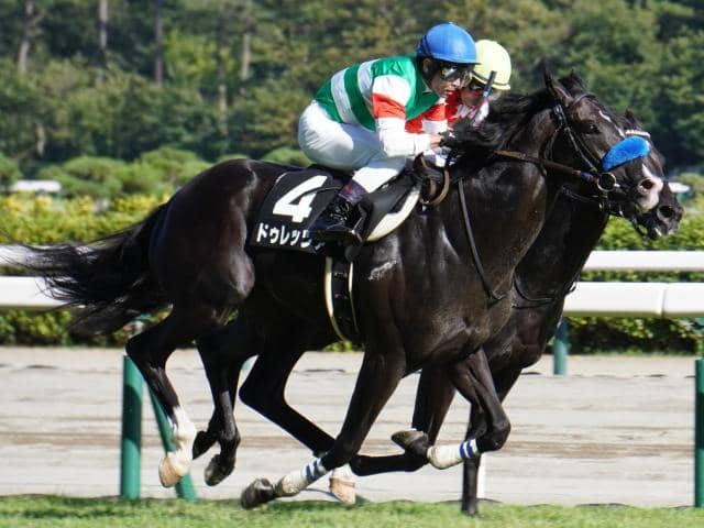 8月の新潟芝2200m戦」は菊花賞に向けても見逃せない!? 今週末に