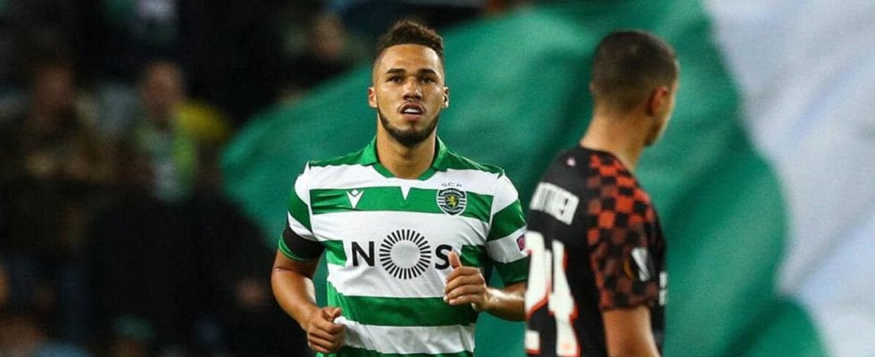 J1残留争い中の湘南が助っ人ストライカー補強！ FC東京でもプレーしたFWルイス・フェリッピを完全移籍で獲得