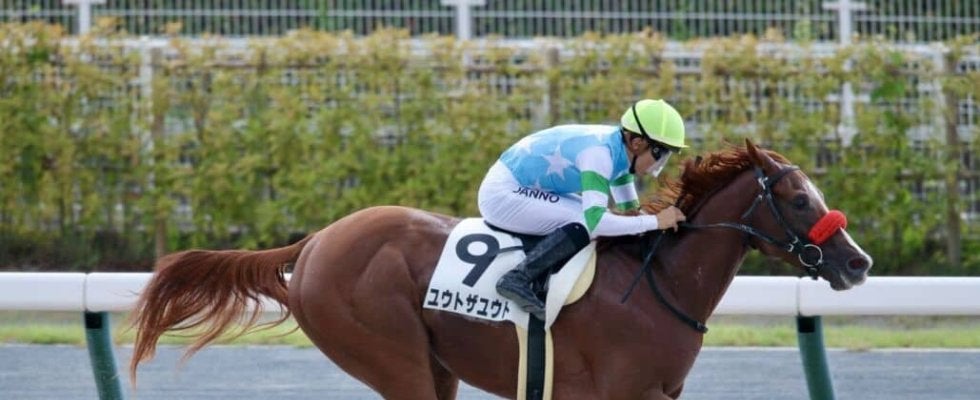 【中京3R】外国産ユウトザユウトが初勝利