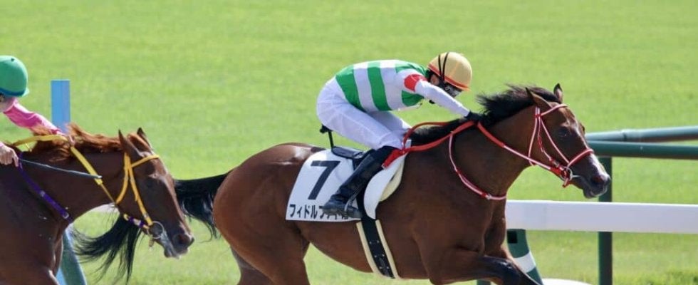 【中京1R】良血フィドルファドルが初勝利…マルシュロレーヌ半妹