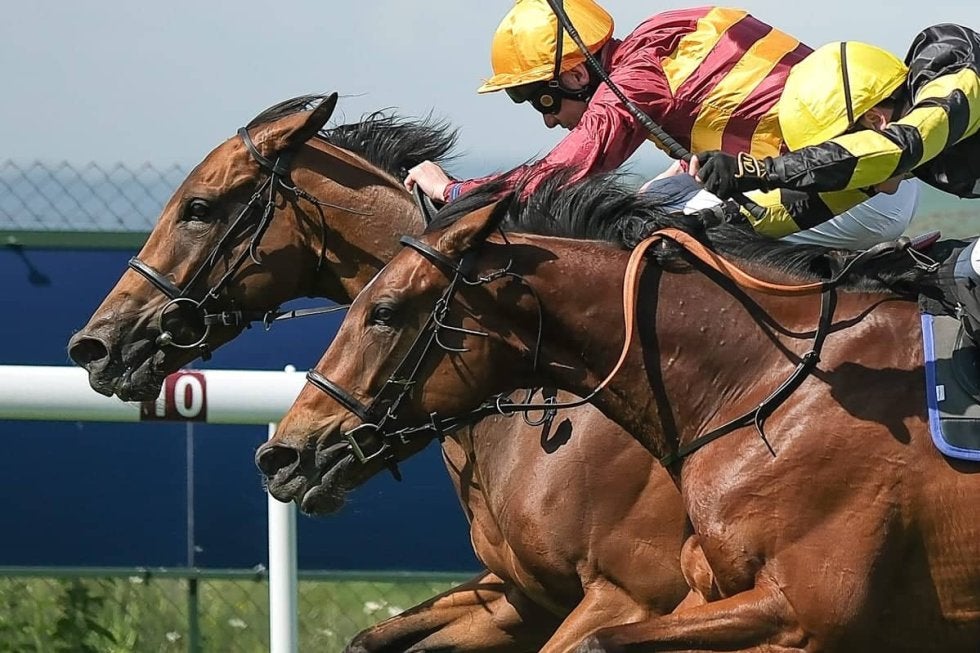 菊花賞／危険な人気馬】“令和の菊男”しか勝てない現実 ドゥレッツァの
