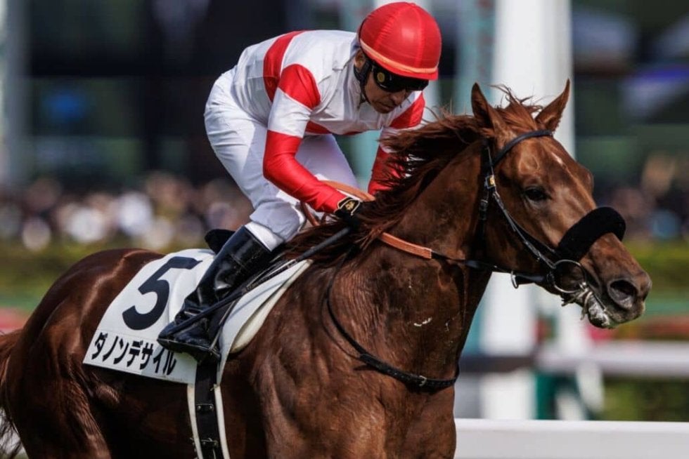 菊花賞】ダービー馬・ダノンデサイルは2枠4番 | その他競技