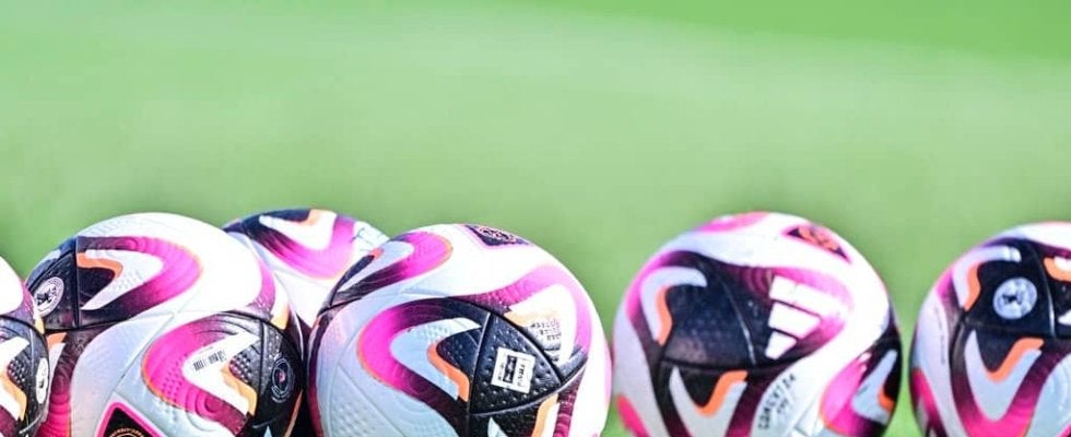 「本気のスライディングクリア！」元なでしこ鮫島彩さんの小学生相手“ガチンコプレー”で大盛り上がり！「笑顔可愛い」「世界一のサッカースマイル」の声