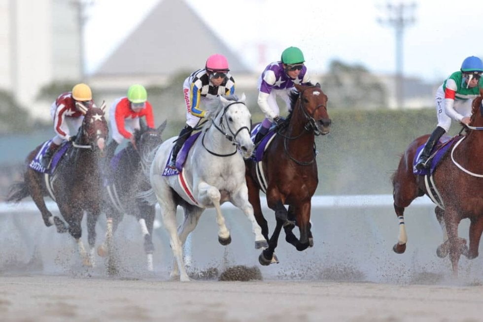 チャンピオンズC】武豊「まだ不器用だけど来年が楽しみ」レース後
