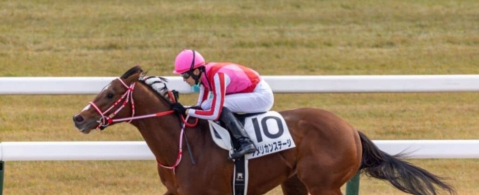 【京都6R】外国産アメリカンステージが2連勝…人気馬フェデラーは4着