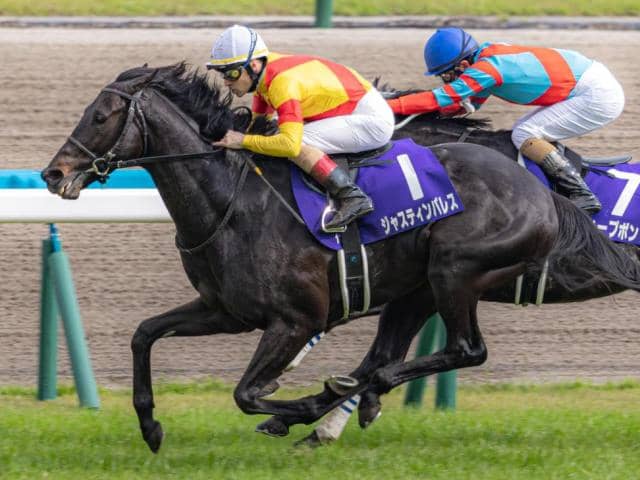 ディープインパクト産駒14年連続中央GI制覇へ ラストチャンスの有馬