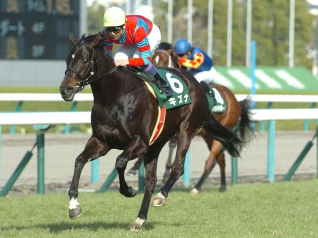 キズナ キャップ 2024年リーディングサイアー 2024年の総合リーディングサイアーに輝いた「キズナ」 活躍の