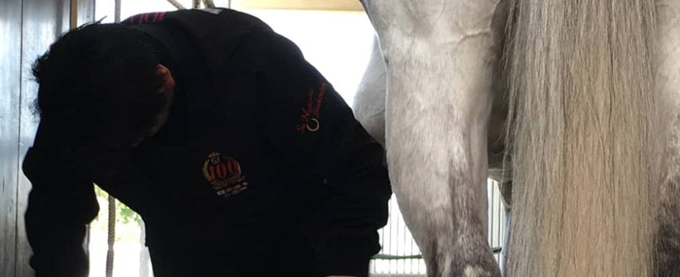 【装蹄師・西内荘コラム】亜脱臼だと思っていたら…骨折