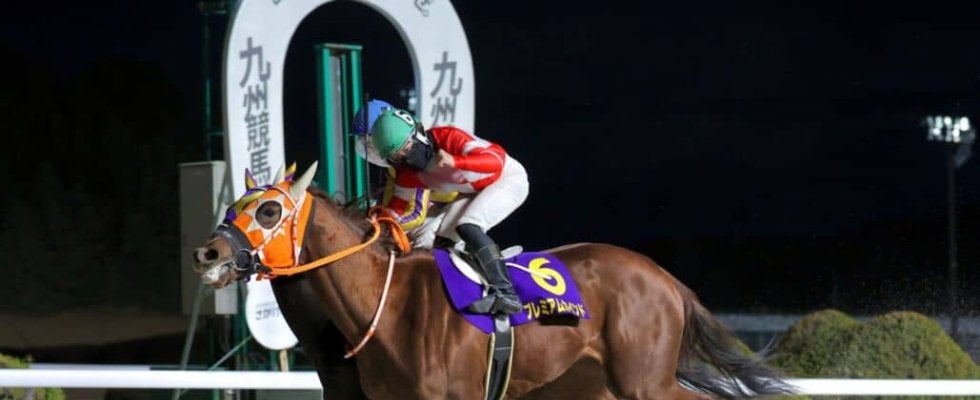 【佐賀・花吹雪賞】プレミアムカインドがV…1番人気ハクアイアシストとの一騎打ち