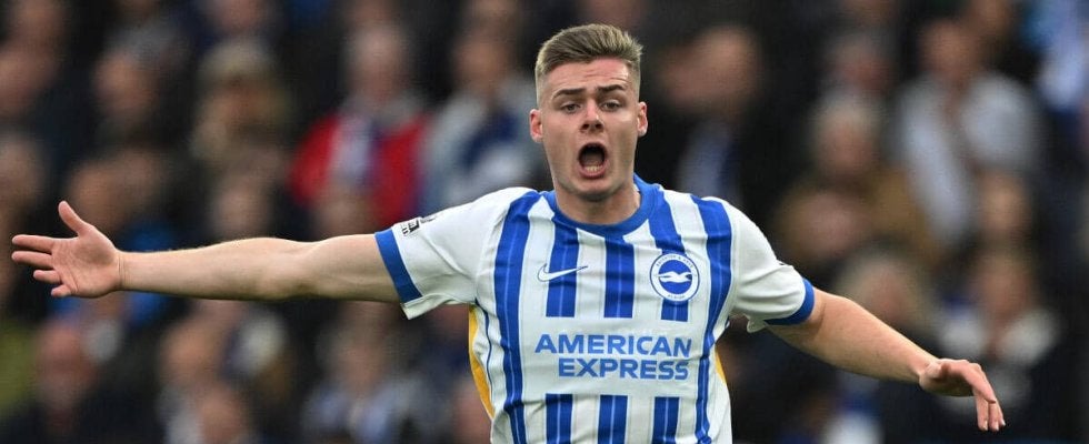 レンタル移籍加熱のブライトンFWファーガソン、恩師デ・ゼルビ監督率いるマルセイユも関心か