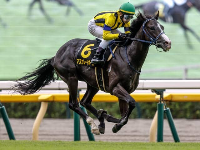 共同通信杯前日オッズ】マスカレードボールが3.9倍で1番人気 | その他