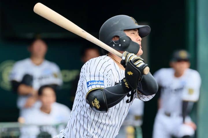 98球 硬式野球ボール 練習に！早い者勝ち！ 強