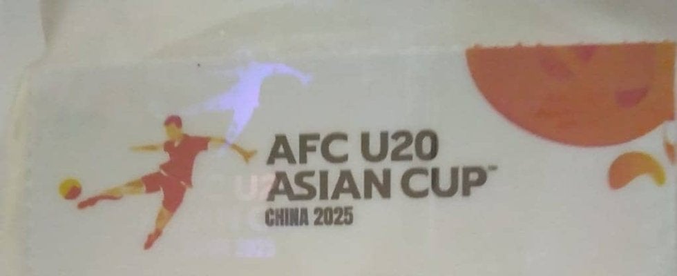 往復3万円の｢格安チケット｣で香港入り、オランダと｢同じ人口｣の大都市へ【U‐20日本代表｢アジア杯｣と｢45年ぶり｣の落馬洲】(1)