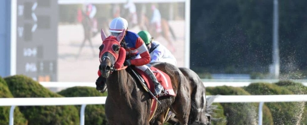 【地方競馬】木之前葵が暫定1位…レディスジョッキーズシリーズ2025