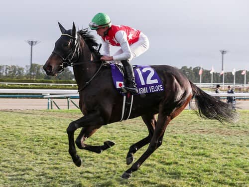 安藤勝己が選定した「3歳牝馬番付」 ハイレベルな世代の女王候補は