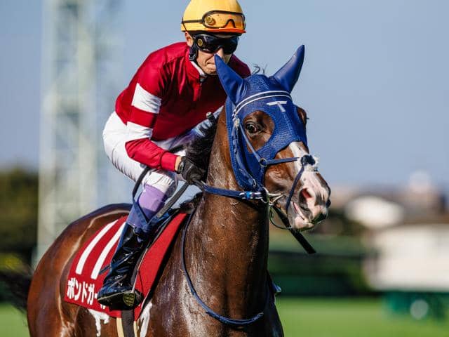 【阪神牝馬S枠順確定】ボンドガールは6枠10番、スウィープフィートは5枠7番