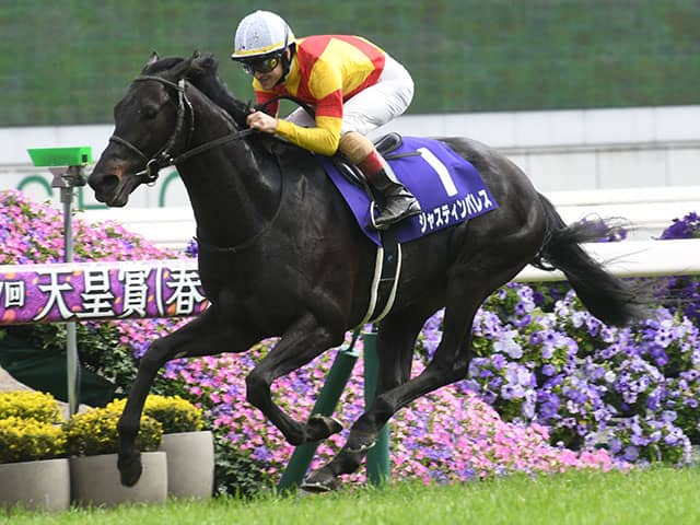 ジャスティンパレス　天皇賞春　ポスター ジャスティンパレス 天皇賞春 ポスター 天皇賞・春】ジャスティン