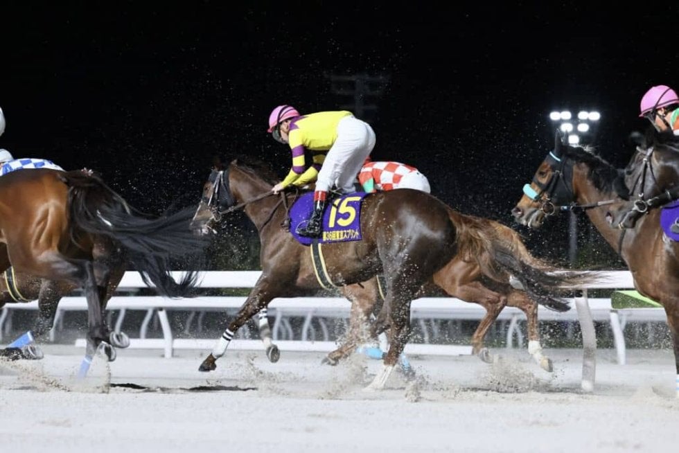 【東京スプリント】ルメール「外枠あまり良くなかった」ガビーズシスターは5着