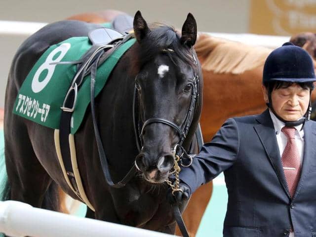 福永祐一厩舎の3億円馬 自己条件で2勝目狙う | その他競技