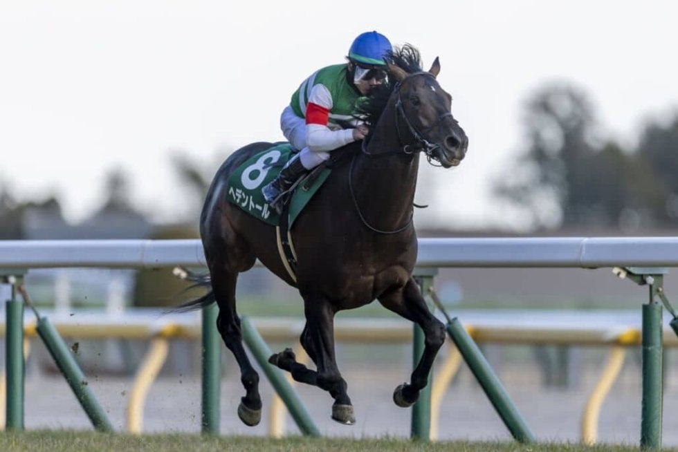 へデントール　メイクデビュー東京　現地単勝馬券　天皇賞・春制覇 天皇賞・春】激戦制したヘデントールが1番人気に応えてG1初制覇