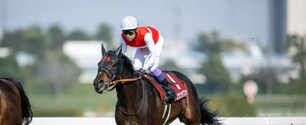 歴代最多8勝！天皇賞・春はショウナンラプンタとのコンビ…武豊騎手騎乗馬