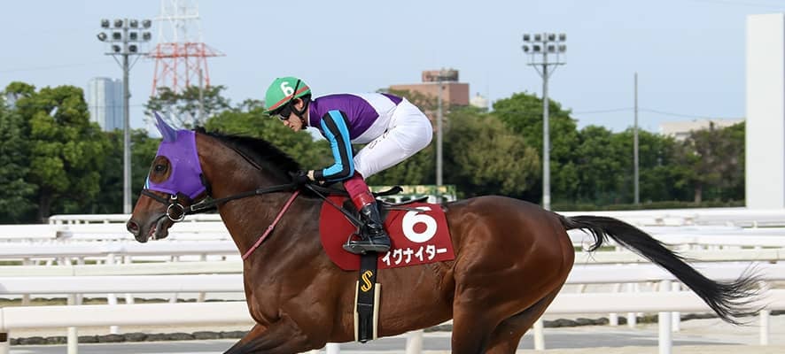 【兵庫大賞典】イグナイターが地元凱旋V 約1年半ぶりの勝利で貫禄示す