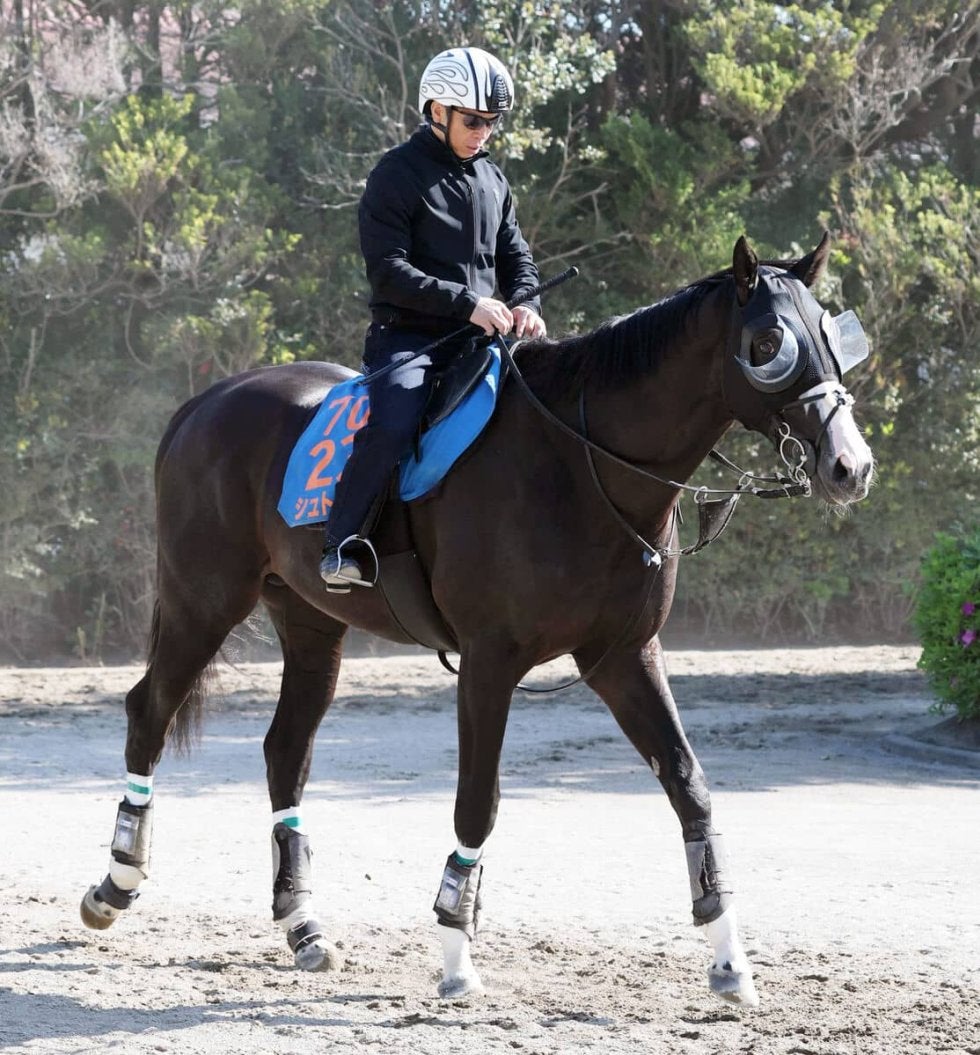 シュトラウスは気性の激しさ見せず
