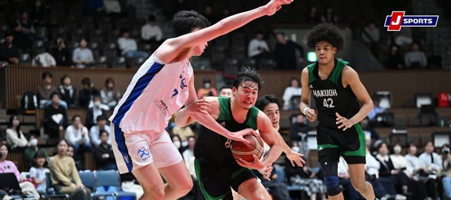 【白鴎大・佐藤涼成】フィジカルの強さと試合を支配できることができる大学バスケットボール界No.1ポイントガード